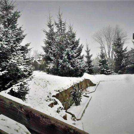 Cottage Ozerniy Lazeshchyna Exterior photo
